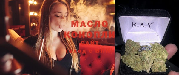 сатива Кулебаки