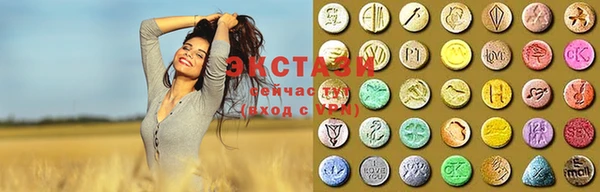 сатива Кулебаки