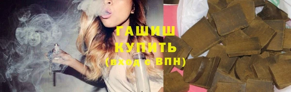 сатива Кулебаки