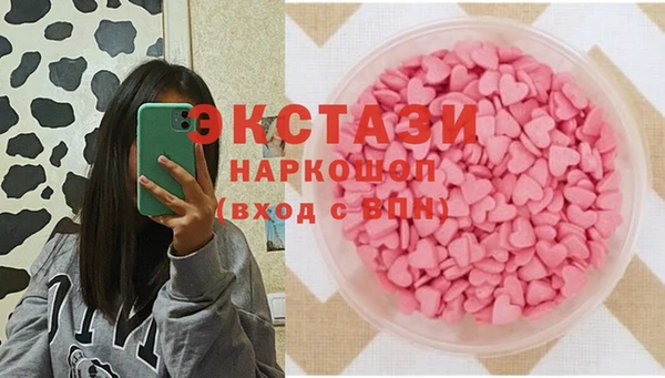 сатива Кулебаки