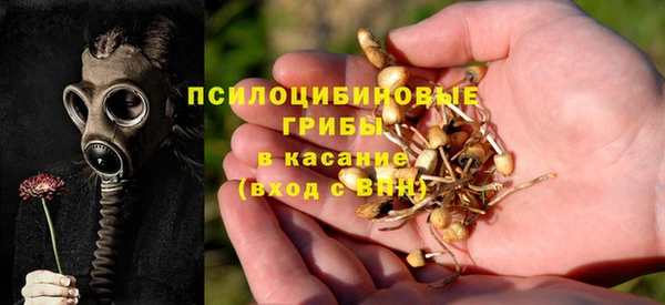 ешки Куйбышев