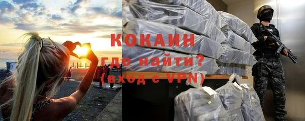 сатива Кулебаки