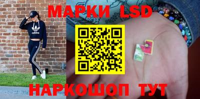 спиды Камышлов