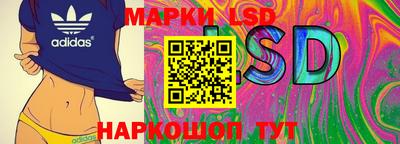 спиды Камышлов